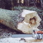 How to Choose a Saw for Your Garden